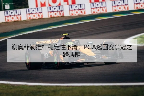谢奥菲勒推杆稳定性下滑，PGA巡回赛争冠之路遇阻